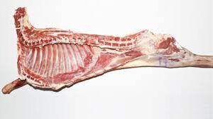 HALF LAMB/Kg